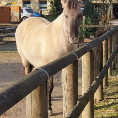 Besuch im Tierpark