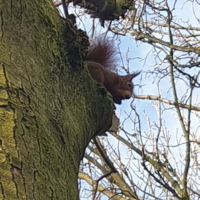 Schnappschuss im Tierpark